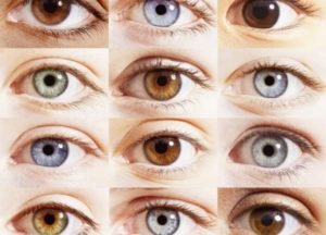 eyes