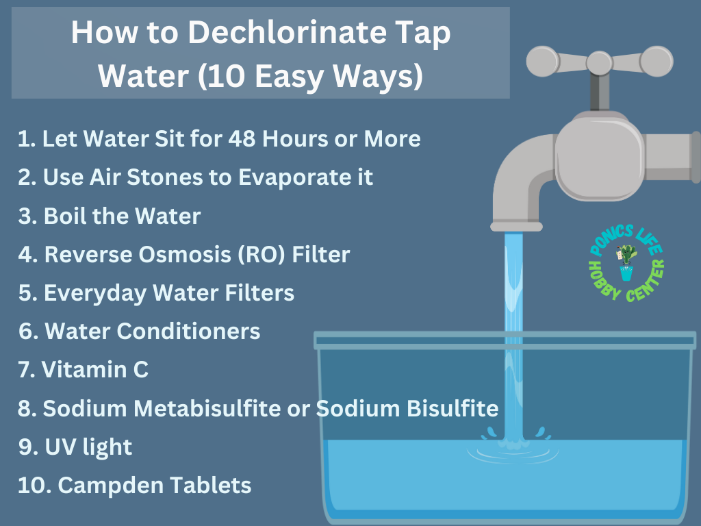 tap water